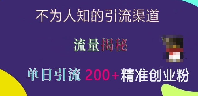 不为人知的引流渠道，流量揭秘，实测单日引流200+精准创业粉【揭秘】-林文副业站