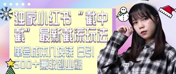最新小红书截流玩法 独家截中截 单号成本几块钱 日引500+CY粉JZ粉-林文副业站