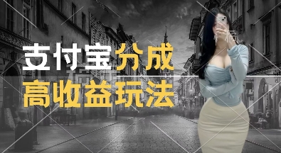 支付宝分成计划新玩法，利用交通事故视频，赚收益，轻松月入过W，操作简单【揭秘】-林文副业站
