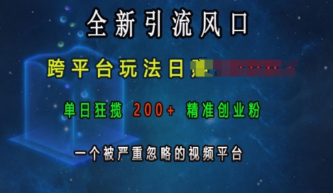 全新引流风口，跨平台玩法日入上k，单日狂揽200+精准创业粉，一个被严重忽略的视频平台-林文副业站