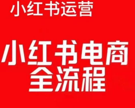 红薯电商实操课，小红书电商全流程-林文副业站