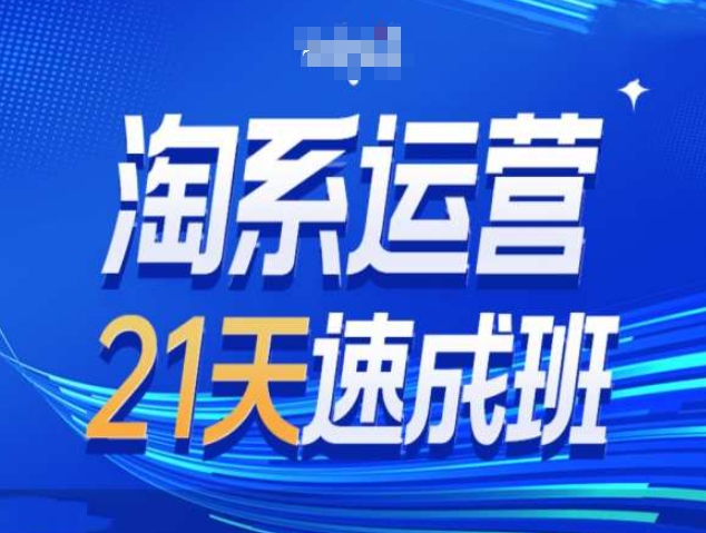 淘系运营21天速成班第34期-搜索最新玩法和25年搜索趋势-林文副业站