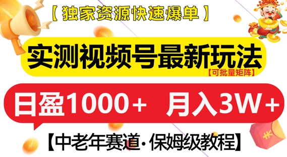 实测视频号最新玩法，中老年赛道，独家资源，月入过W+【揭秘】-林文副业站