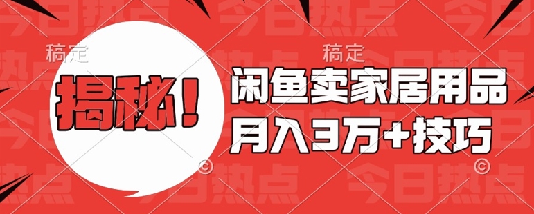 闲鱼卖家居用品月入过W+最新技巧闲鱼最新零基础教学，新手当天上手【揭秘】-林文副业站
