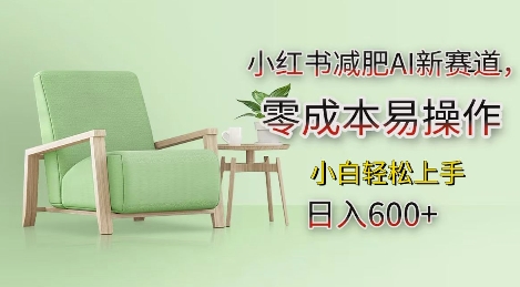 小红书减肥AI新赛道，零成本易操作，日入多张，小白轻松上手【揭秘】-林文副业站