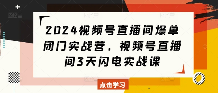 2024视频号直播间爆单闭门实战营，视频号直播间3天闪电实战课-林文副业站