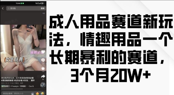 成人用品赛道新玩法，情趣用品一个长期暴利的赛道，3个月收益20个【揭秘】-林文副业站