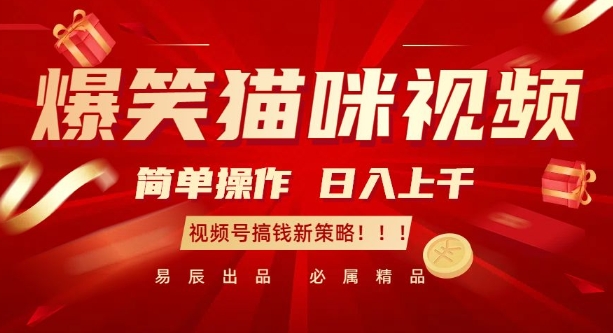 爆笑猫咪视频：简单操作，日入过K，视频号搞钱新策略【揭秘】-林文副业站