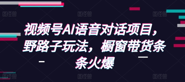 视频号AI语音对话项目，野路子玩法，橱窗带货条条火爆-林文副业站