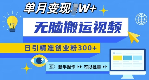 无脑搬运视频号可批量复制，新手即可操作，日引精准创业粉300+，月变现过W 【揭秘】-林文副业站