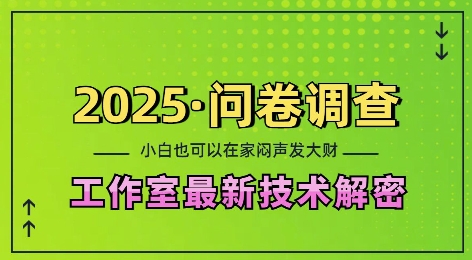 2025问卷调查最新工作室技术解密：一个人在家也可以闷声发大财，小白一天2张，可矩阵放大【揭秘】-林文副业站