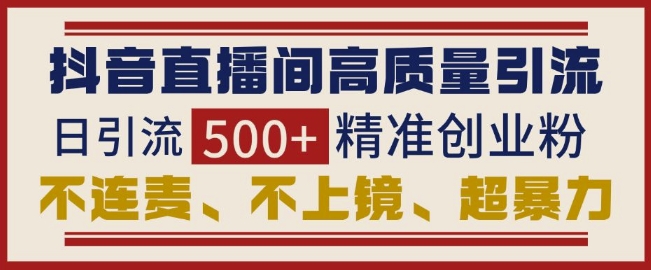 抖音直播间引流创业粉，无需连麦、不用上镜、超暴力，日引流500+高质量精准创业粉-林文副业站