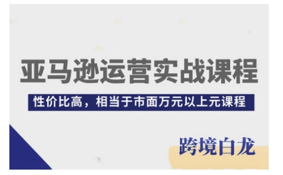 亚马逊运营实战课程，亚马逊从入门到精通，性价比高，相当于市面万元以上元课程-林文副业站