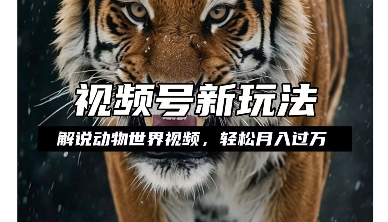 利用动物世界解说视频，赚分成计划收益，轻松月入过W，操作简单【揭秘】-林文副业站