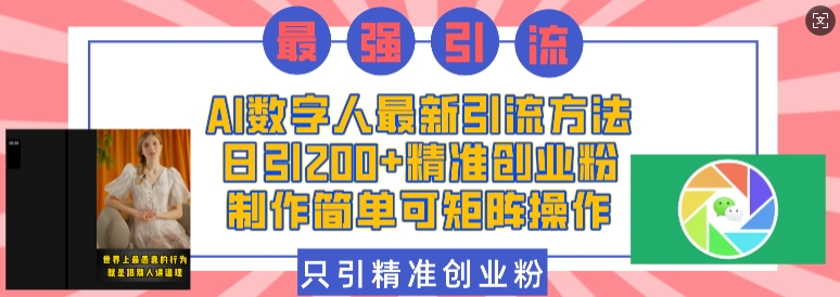 AI数字人最新引流方法，日引200+精准创业粉，制作简单可矩阵操作-林文副业站