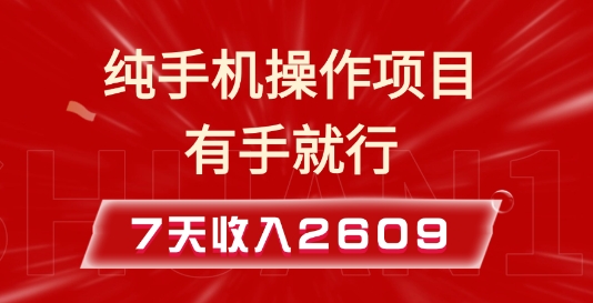 纯手机操作的小项目，有手就能做，7天收入2609+实操教程【揭秘】-林文副业站