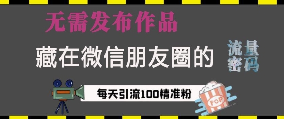 藏在微信朋友圈的流量密码，无需发布作品，单日引流100+精准创业粉【揭秘】-林文副业站