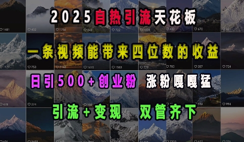 2025自热引流天花板，一条视频能带来四位数的收益，引流+变现双管齐下，日引500+创业粉，涨粉嘎嘎猛-林文副业站