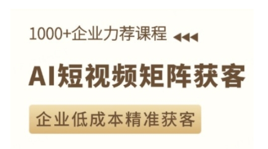 AI短视频矩阵获客实操课，企业低成本精准获客-林文副业站