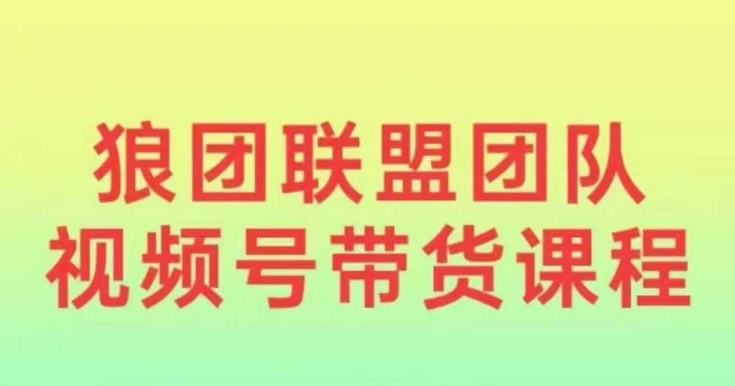 狼团联盟2024视频号带货，0基础小白快速入局视频号-林文副业站