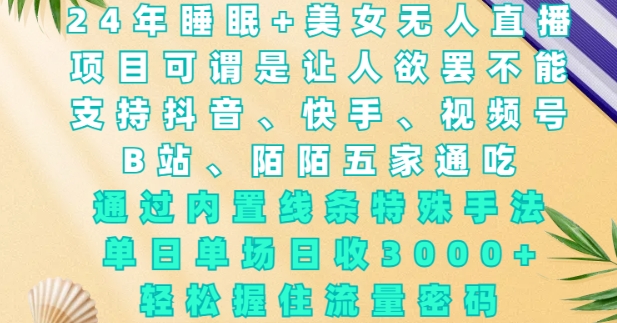 2024年睡眠+美女无人直播，通过内置线条特殊手法，单场日收3k+，轻松握住流量密码【揭秘】-林文副业站
