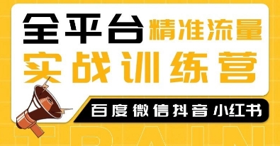 全平台精准流量实战训练营，百度微信抖音小红书SEO引流教程-林文副业站