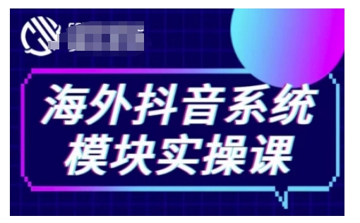 海外抖音Tiktok系统模块实操课，TK短视频带货，TK直播带货，TK小店端实操等-林文副业站
