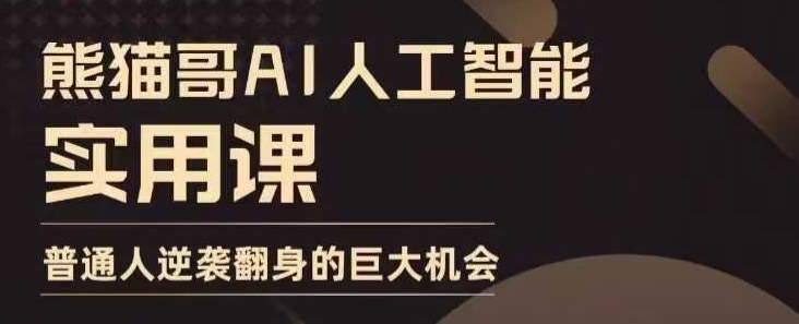 AI人工智能实用课，实在实用实战，普通人逆袭翻身的巨大机会-林文副业站