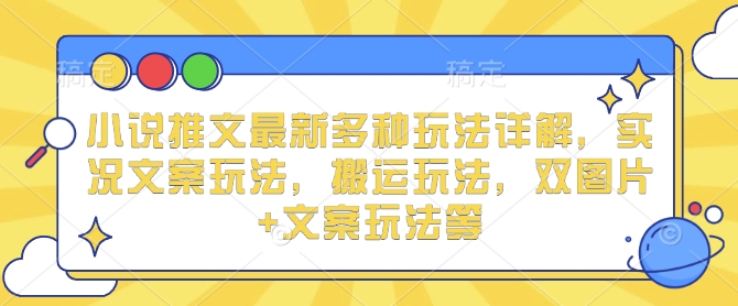 小说推文最新多种玩法详解，实况文案玩法，搬运玩法，双图片+文案玩法等-林文副业站