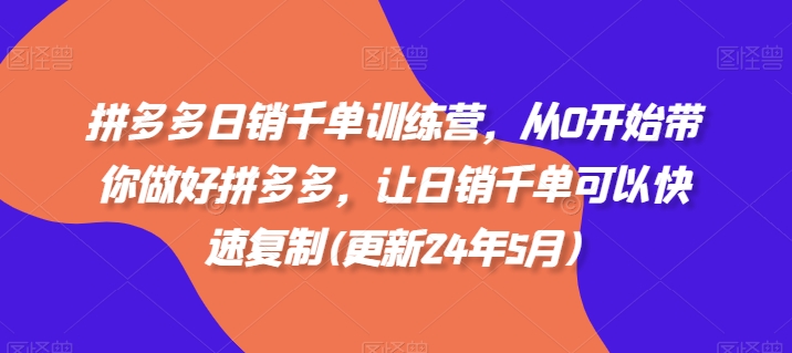 拼多多日销千单训练营，从0开始带你做好拼多多，让日销千单可以快速复制(更新24年12月)-林文副业站