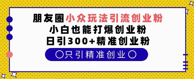 朋友圈小众玩法引流创业粉，小白也能打爆创业粉，日引300+精准创业粉【揭秘】-林文副业站