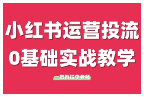 小红书运营投流，小红书广告投放从0到1的实战课，学完即可开始投放-林文副业站
