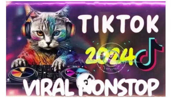 Tiktok东南亚小店运营，TK跨境小店教程让学员能快速掌握实用的运营技巧-林文副业站