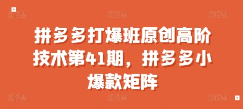 拼多多打爆班原创高阶技术第41期，拼多多小爆款矩阵-林文副业站