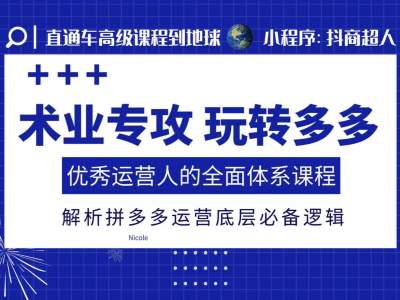 术业专攻玩转多多，优秀运营人的全面体系课程，解析拼多多运营底层必备逻辑-林文副业站