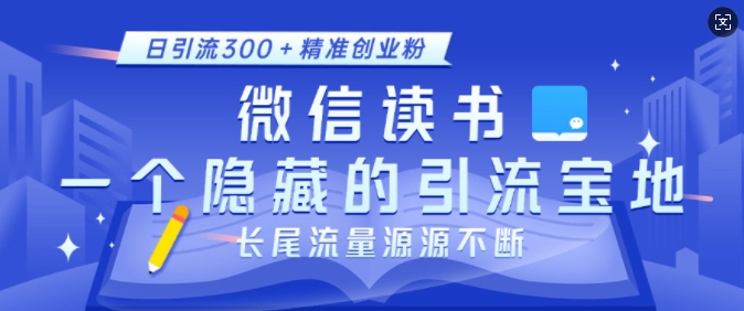 微信读书，一个隐藏的引流宝地，不为人知的小众打法，日引流300+精准创业粉，长尾流量源源不断-林文副业站