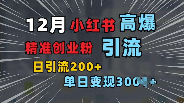 小红书一张图片“引爆”创业粉，单日+200+精准创业粉 可筛选付费意识创业粉【揭秘】-林文副业站