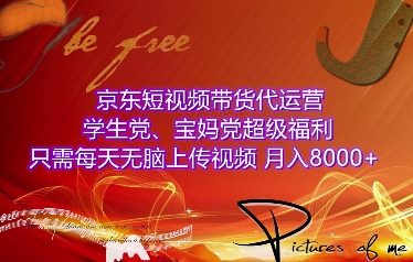 京东短视频带货代运营，学生党、宝妈党超级福利，只需每天无脑上传视频，月入8000+【仅揭秘】-林文副业站
