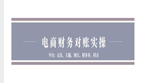 电商财务对账实操-京东天猫淘宝拼多多抖音电商财务对账-林文副业站