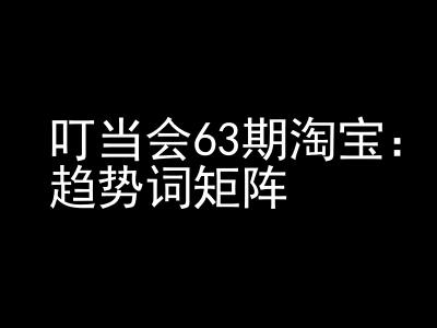 《淘宝天猫打爆班》原创高阶技术第63期，趋势词矩阵技术和玩法-林文副业站