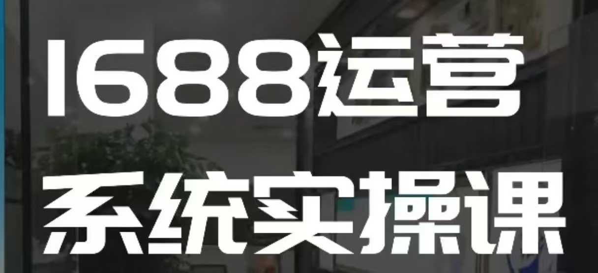 1688高阶运营系统实操课，快速掌握1688店铺运营的核心玩法-林文副业站