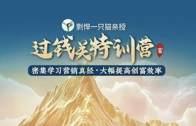 剽悍一只猫-过钱关特训营，学习营销真经 大幅度提高创富效率-林文副业站