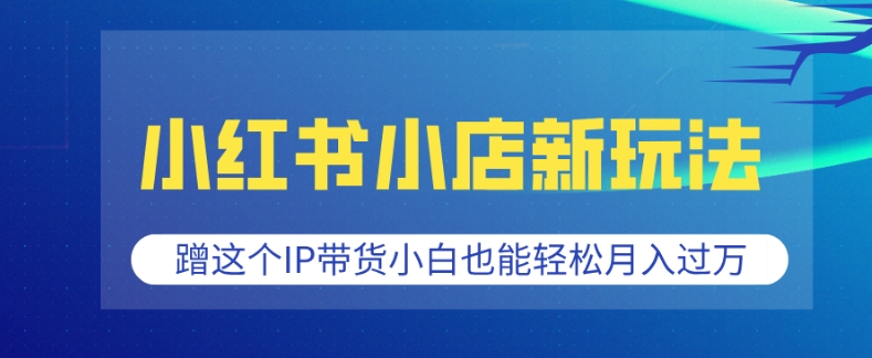 小红书小店新玩法，蹭这个IP带货，小白也能轻松月入过W【揭秘】-林文副业站