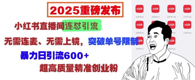 2025重磅发布：小红书直播间连怼引流，无需连麦、无需上镜，突破单号限制，暴力日引流600+-林文副业站