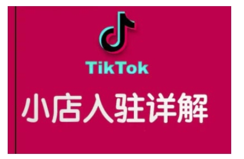 TikTok跨境小店运营全攻略，帮助你独立运营TK跨境小店的能力，实现销量增长-林文副业站