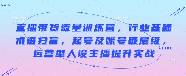 直播带货流量训练营，行业基础术语扫盲，起号及账号破层级，运营型人设主播提升实战-林文副业站