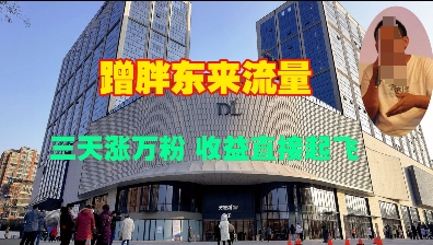 蹭胖东来流量，三天涨万粉，收益直接起飞-林文副业站