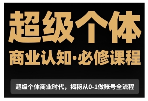 超级个体商业认知觉醒视频课，商业认知·必修课程揭秘从0-1账号全流程-林文副业站
