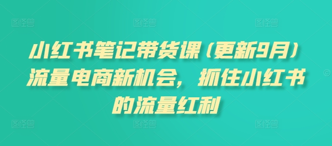 小红书笔记带货课(更新25年1月)流量电商新机会，抓住小红书的流量红利-林文副业站