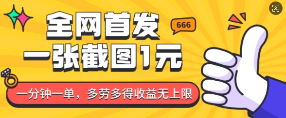 全网首发，一张截图1块钱，一分钟一单，多劳多得，收益无上限-林文副业站